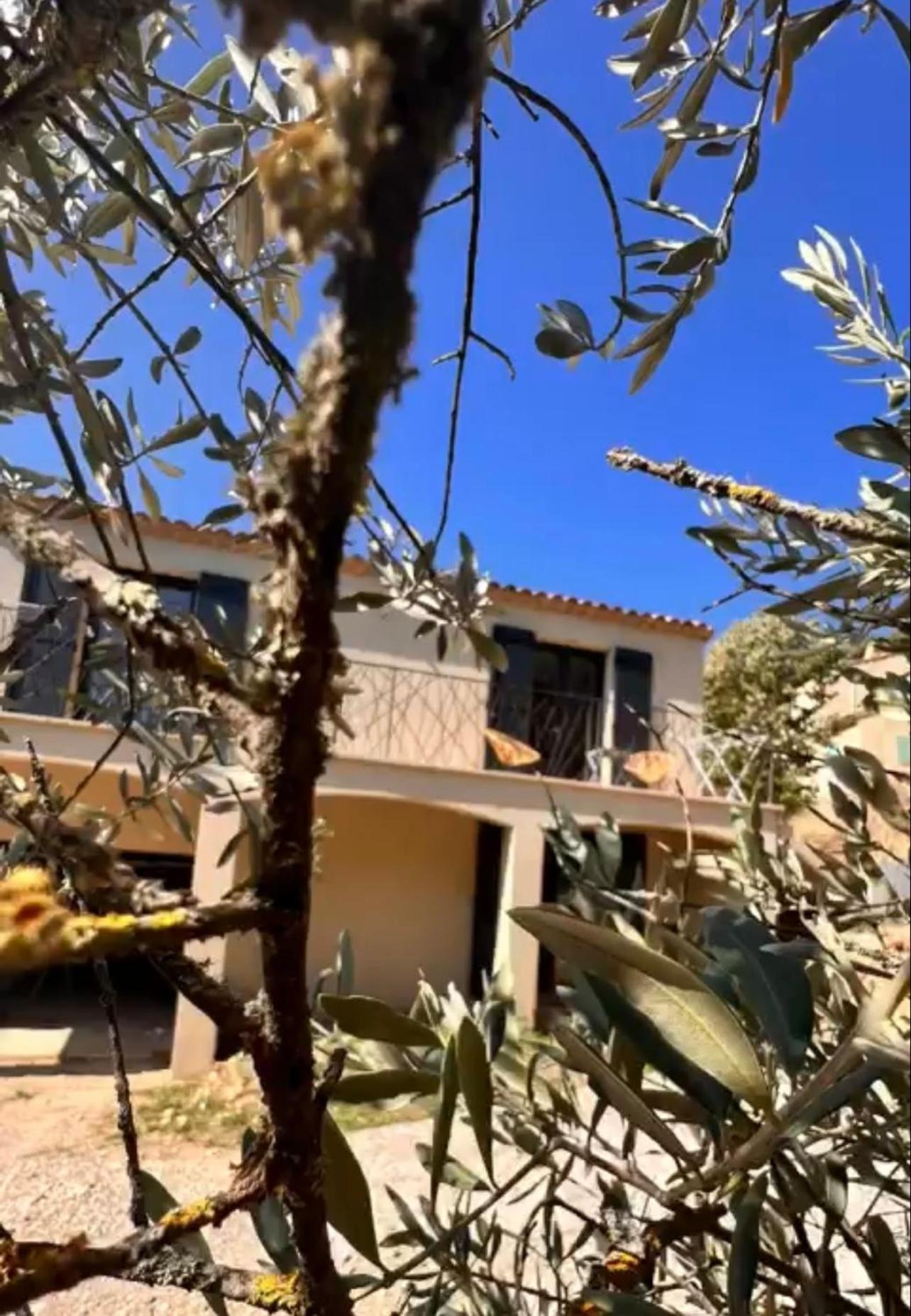 Loft Pied De Coline Au Calme Lägenhet Ginasservis Exteriör bild